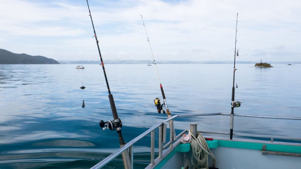 bluewater angler fishing charters