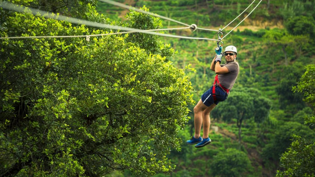 coastal canopy zipline park