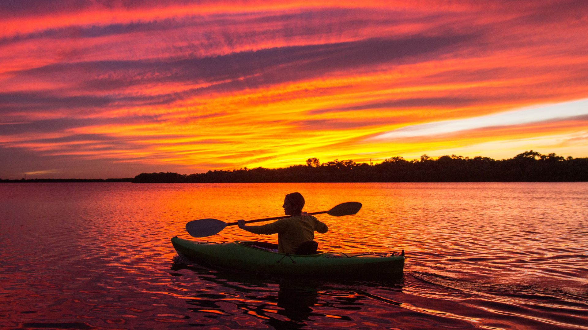 moonlit waters eco kayak tours