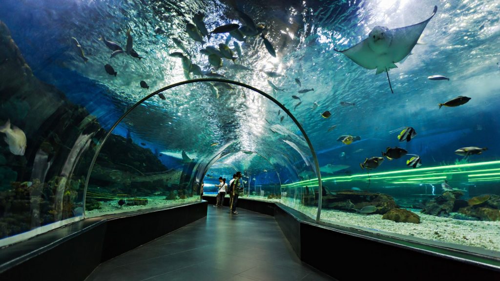 seagrass maritime museum