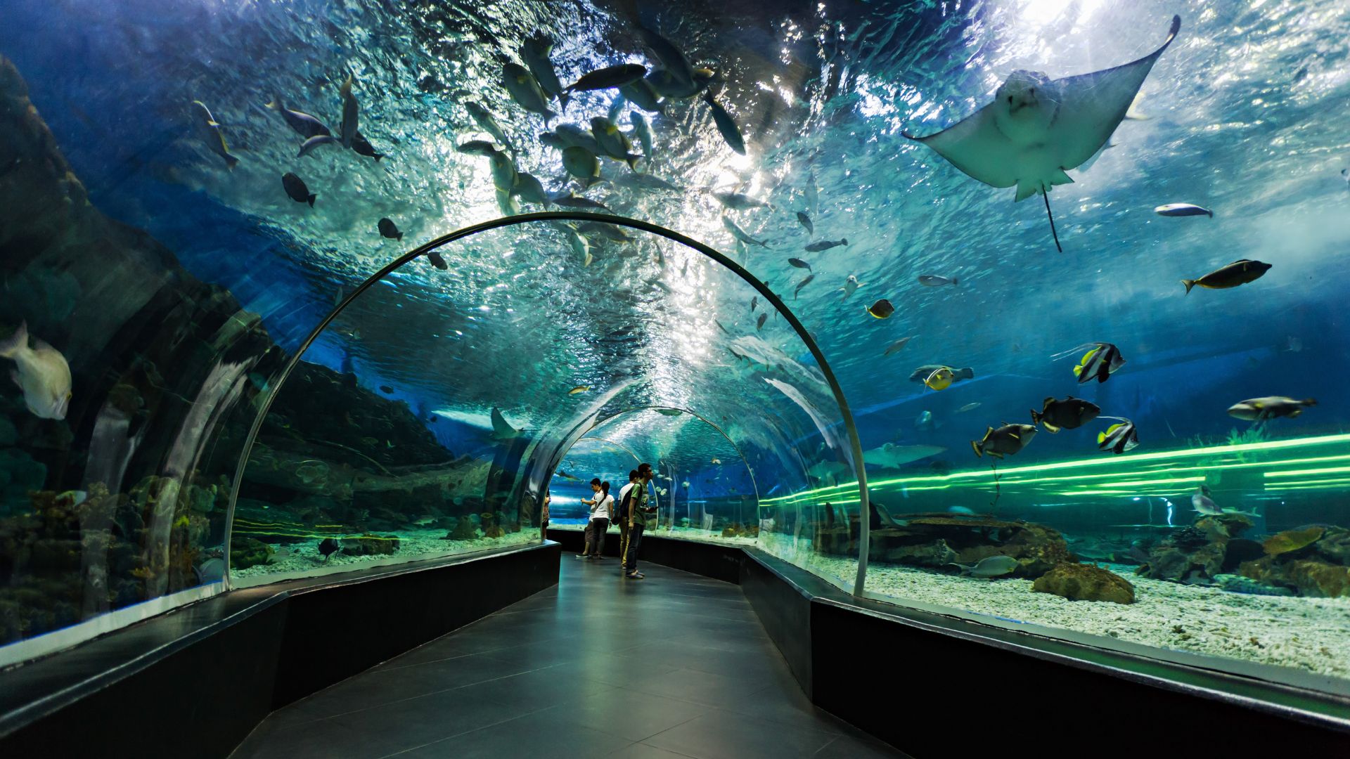 seagrass maritime museum