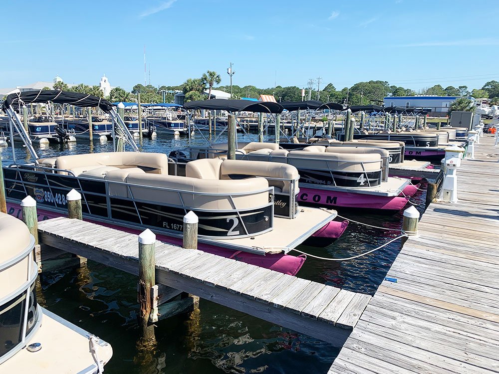 pink pontoons destin dolphin cruise