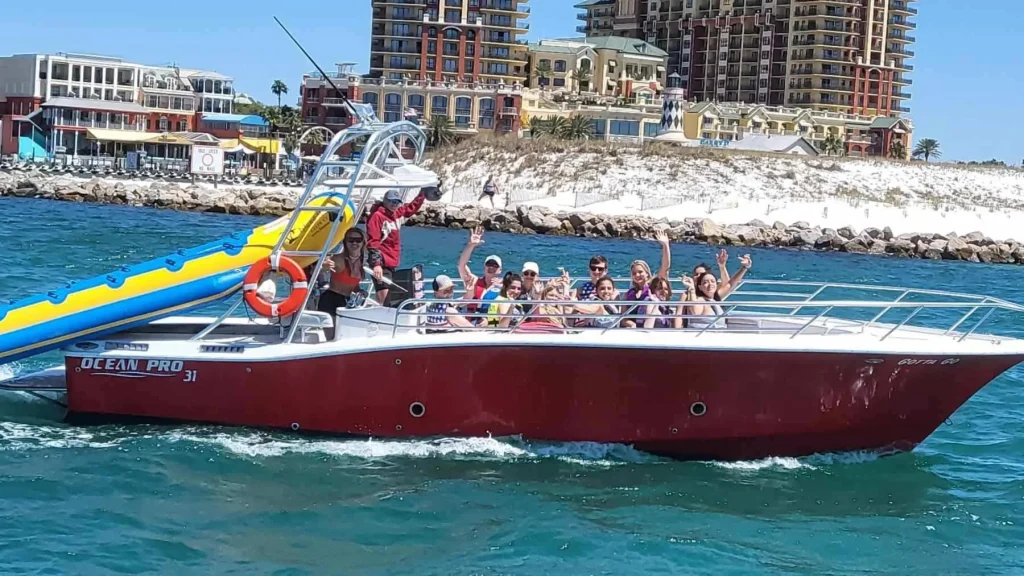 private dolphin boat cruise by screaming eagle sports
